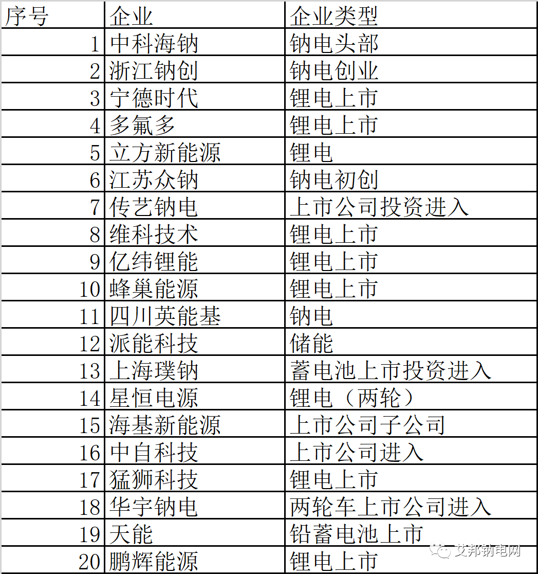 钠离子电池量产元年，20家企业数据简报.xls